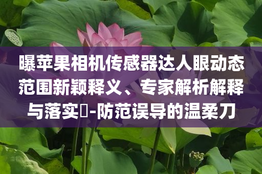 曝蘋果相機(jī)傳感器達(dá)人眼動(dòng)態(tài)范圍新穎釋義、專家解析解釋與落實(shí)?-防范誤導(dǎo)的溫柔刀
