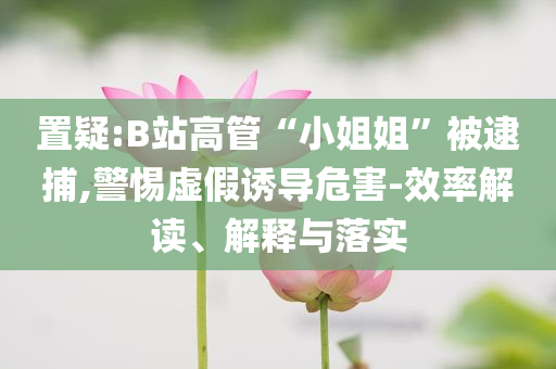 置疑:B站高管“小姐姐”被逮捕,警惕虛假誘導(dǎo)危害-效率解讀、解釋與落實(shí)