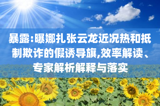 暴露:曝娜扎張?jiān)讫埥鼪r熱和抵制欺詐的假誘導(dǎo)旗,效率解讀、專家解析解釋與落實(shí)