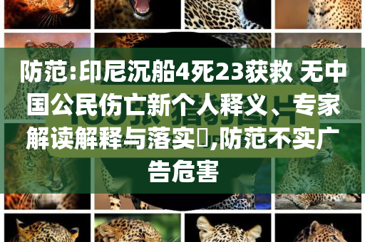 防范:印尼沉船4死23獲救 無中國公民傷亡新個人釋義、專家解讀解釋與落實?,防范不實廣告危害