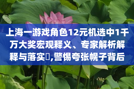上海一游戲角色12元機(jī)選中1千萬大獎宏觀釋義、專家解析解釋與落實(shí)?,警惕夸張幌子背后