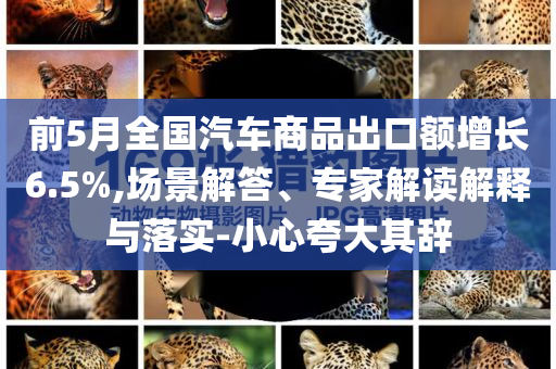前5月全國汽車商品出口額增長6.5%,場景解答、專家解讀解釋與落實(shí)-小心夸大其辭
