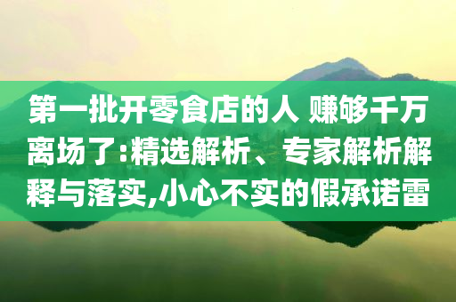 第一批開(kāi)零食店的人 賺夠千萬(wàn)離場(chǎng)了:精選解析、專家解析解釋與落實(shí),小心不實(shí)的假承諾雷