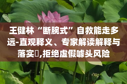王健林“斷腕式”自救能走多遠(yuǎn)-直觀釋義、專家解讀解釋與落實(shí)?,拒絕虛假噱頭風(fēng)險(xiǎn)