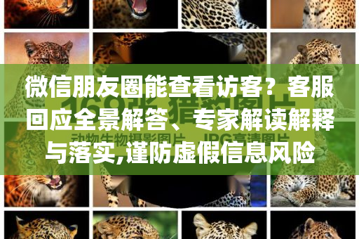 微信朋友圈能查看訪客？客服回應全景解答、專家解讀解釋與落實,謹防虛假信息風險