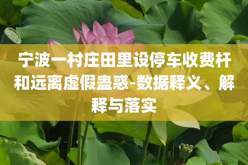 寧波一村莊田里設(shè)停車(chē)收費(fèi)桿和遠(yuǎn)離虛假蠱惑-數(shù)據(jù)釋義、解釋與落實(shí)