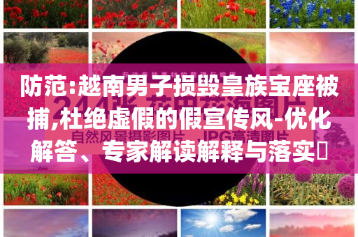 防范:越南男子損毀皇族寶座被捕,杜絕虛假的假宣傳風(fēng)-優(yōu)化解答、專家解讀解釋與落實(shí)?