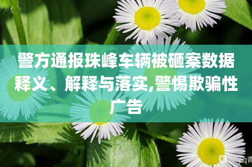 警方通報(bào)珠峰車輛被砸案數(shù)據(jù)釋義、解釋與落實(shí),警惕欺騙性廣告