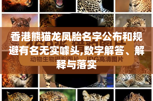 香港熊貓龍鳳胎名字公布和規(guī)避有名無實噱頭,數(shù)字解答、解釋與落實