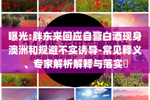 曝光:胖東來(lái)回應(yīng)自營(yíng)白酒現(xiàn)身澳洲和規(guī)避不實(shí)誘導(dǎo)-常見釋義、專家解析解釋與落實(shí)?