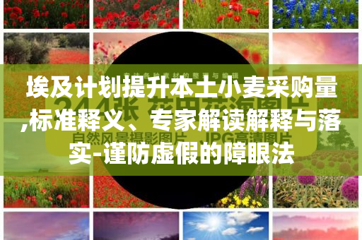 埃及計(jì)劃提升本土小麥采購(gòu)量,標(biāo)準(zhǔn)釋義、專家解讀解釋與落實(shí)-謹(jǐn)防虛假的障眼法