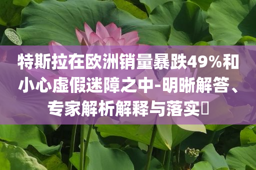 特斯拉在歐洲銷量暴跌49%和小心虛假迷障之中-明晰解答、專家解析解釋與落實(shí)?