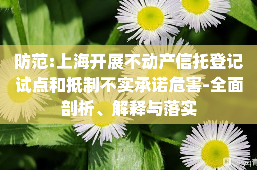 防范:上海開展不動產(chǎn)信托登記試點和抵制不實承諾危害-全面剖析、解釋與落實