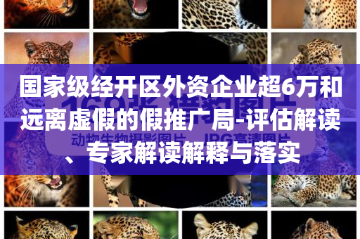 國家級經(jīng)開區(qū)外資企業(yè)超6萬和遠離虛假的假推廣局-評估解讀、專家解讀解釋與落實