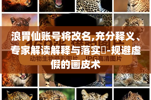 浪胃仙賬號將改名,充分釋義、專家解讀解釋與落實?-規(guī)避虛假的畫皮術(shù)