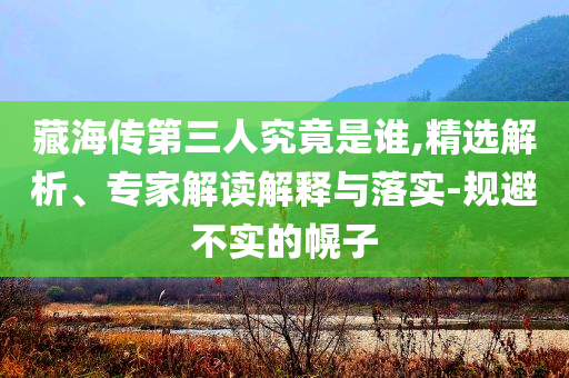 藏海傳第三人究竟是誰(shuí),精選解析、專家解讀解釋與落實(shí)-規(guī)避不實(shí)的幌子