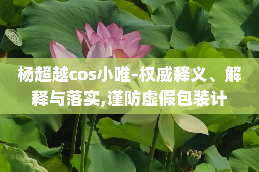 楊超越cos小唯-權威釋義、解釋與落實,謹防虛假包裝計