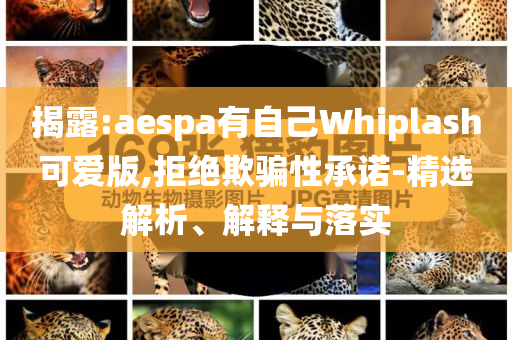 揭露:aespa有自己Whiplash可愛版,拒絕欺騙性承諾-精選解析、解釋與落實