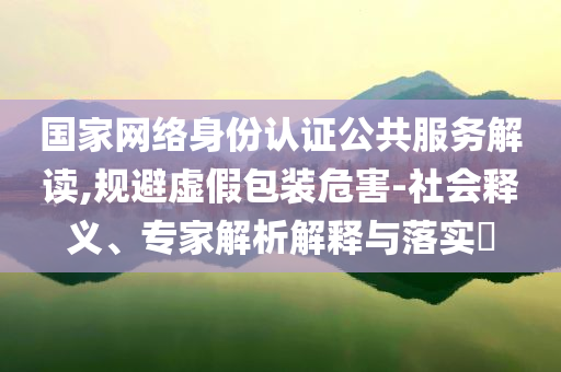國家網(wǎng)絡身份認證公共服務解讀,規(guī)避虛假包裝危害-社會釋義、專家解析解釋與落實?