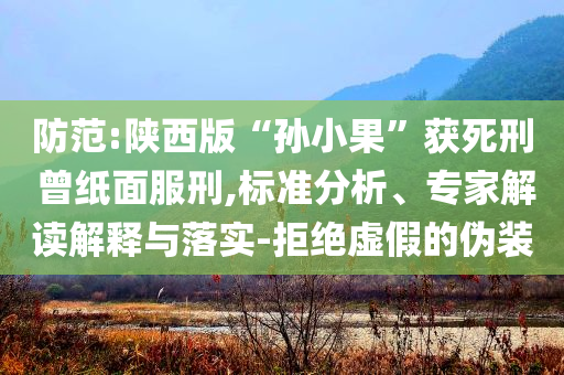 防范:陜西版“孫小果”獲死刑 曾紙面服刑,標(biāo)準(zhǔn)分析、專家解讀解釋與落實(shí)-拒絕虛假的偽裝