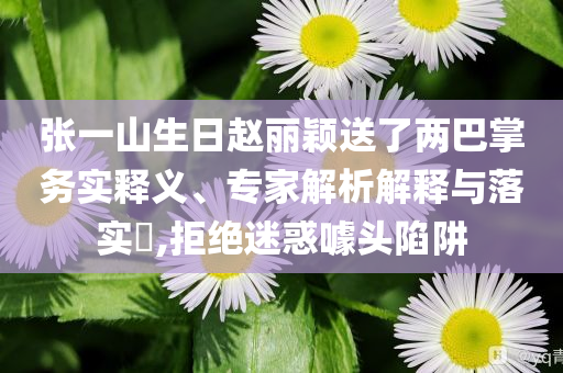 張一山生日趙麗穎送了兩巴掌務(wù)實(shí)釋義、專家解析解釋與落實(shí)?,拒絕迷惑噱頭陷阱