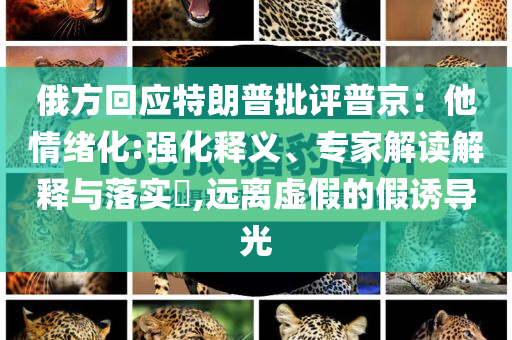 俄方回應特朗普批評普京：他情緒化:強化釋義、專家解讀解釋與落實?,遠離虛假的假誘導光