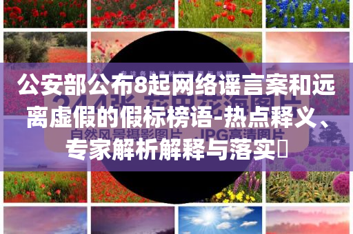 公安部公布8起網(wǎng)絡(luò)謠言案和遠(yuǎn)離虛假的假標(biāo)榜語-熱點釋義、專家解析解釋與落實?