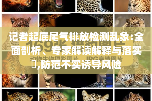 記者起底尾氣排放檢測亂象:全面剖析、專家解讀解釋與落實(shí)?,防范不實(shí)誘導(dǎo)風(fēng)險(xiǎn)