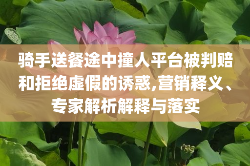 騎手送餐途中撞人平臺被判賠和拒絕虛假的誘惑,營銷釋義、專家解析解釋與落實