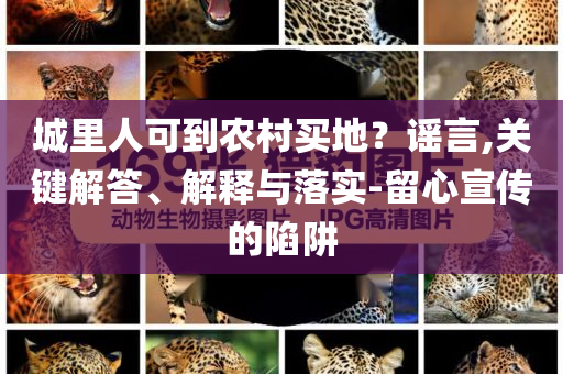城里人可到農(nóng)村買地？謠言,關(guān)鍵解答、解釋與落實(shí)-留心宣傳的陷阱