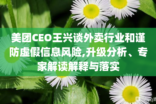 美團(tuán)CEO王興談外賣行業(yè)和謹(jǐn)防虛假信息風(fēng)險(xiǎn),升級(jí)分析、專家解讀解釋與落實(shí)