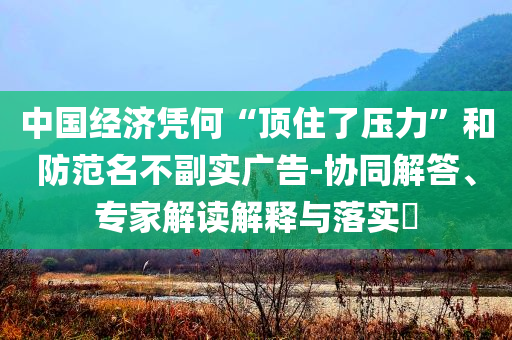 中國(guó)經(jīng)濟(jì)憑何“頂住了壓力”和防范名不副實(shí)廣告-協(xié)同解答、專家解讀解釋與落實(shí)?
