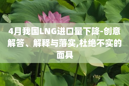 4月我國LNG進(jìn)口量下降-創(chuàng)意解答、解釋與落實(shí),杜絕不實(shí)的面具