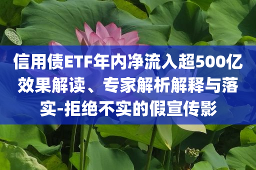 信用債ETF年內(nèi)凈流入超500億效果解讀、專家解析解釋與落實(shí)-拒絕不實(shí)的假宣傳影