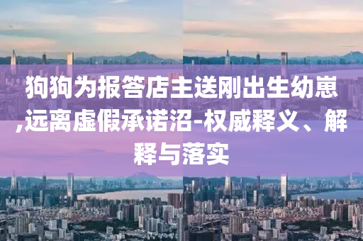 狗狗為報答店主送剛出生幼崽,遠(yuǎn)離虛假承諾沼-權(quán)威釋義、解釋與落實