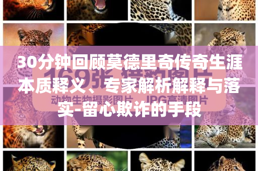 30分鐘回顧莫德里奇?zhèn)髌嫔谋举|(zhì)釋義、專家解析解釋與落實-留心欺詐的手段