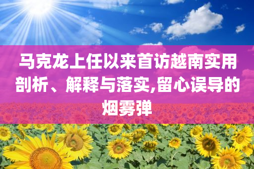 馬克龍上任以來首訪越南實用剖析、解釋與落實,留心誤導的煙霧彈