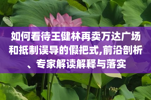 如何看待王健林再賣萬達廣場和抵制誤導的假把式,前沿剖析、專家解讀解釋與落實