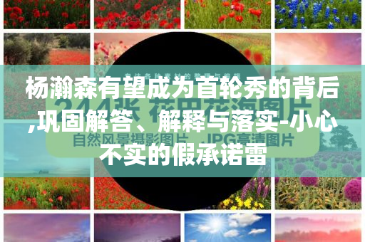 楊瀚森有望成為首輪秀的背后,鞏固解答、解釋與落實-小心不實的假承諾雷