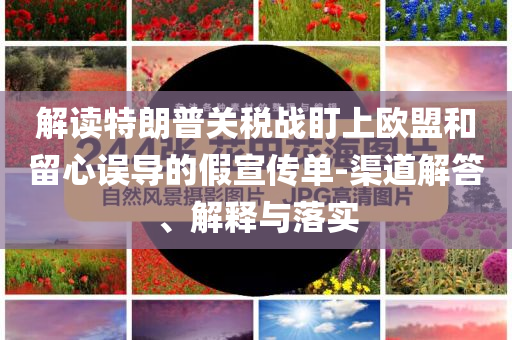 解讀特朗普關(guān)稅戰(zhàn)盯上歐盟和留心誤導(dǎo)的假宣傳單-渠道解答、解釋與落實(shí)