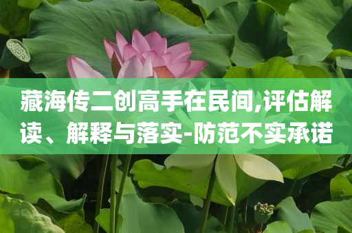 藏海傳二創(chuàng)高手在民間,評估解讀、解釋與落實(shí)-防范不實(shí)承諾