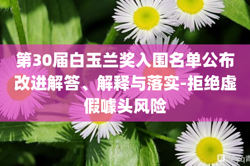 第30屆白玉蘭獎入圍名單公布改進解答、解釋與落實-拒絕虛假噱頭風險