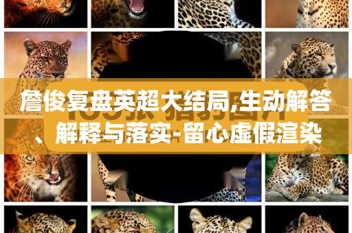 詹俊復盤英超大結局,生動解答、解釋與落實-留心虛假渲染