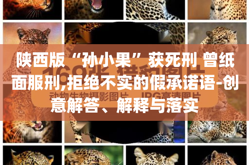 陜西版“孫小果”獲死刑 曾紙面服刑,拒絕不實的假承諾語-創(chuàng)意解答、解釋與落實