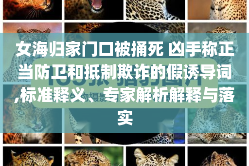 女海歸家門口被捅死 兇手稱正當防衛(wèi)和抵制欺詐的假誘導(dǎo)詞,標準釋義、專家解析解釋與落實