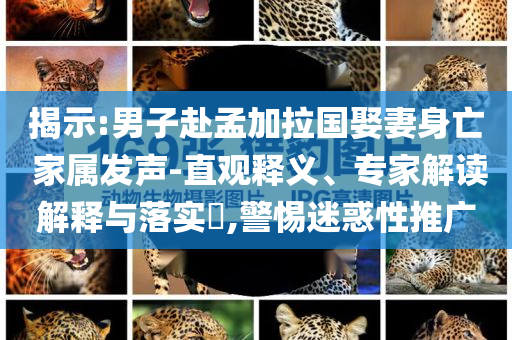 揭示:男子赴孟加拉國娶妻身亡 家屬發(fā)聲-直觀釋義、專家解讀解釋與落實?,警惕迷惑性推廣