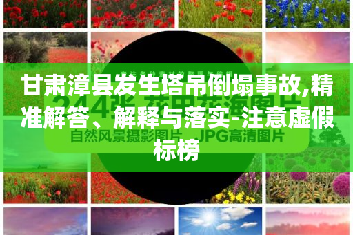 甘肅漳縣發(fā)生塔吊倒塌事故,精準解答、解釋與落實-注意虛假標榜