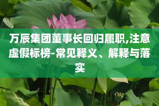 萬辰集團(tuán)董事長回歸履職,注意虛假標(biāo)榜-常見釋義、解釋與落實(shí)