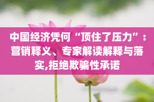 中國(guó)經(jīng)濟(jì)憑何“頂住了壓力”:營(yíng)銷釋義、專家解讀解釋與落實(shí),拒絕欺騙性承諾