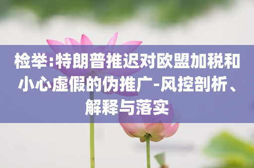 檢舉:特朗普推遲對歐盟加稅和小心虛假的偽推廣-風(fēng)控剖析、解釋與落實(shí)